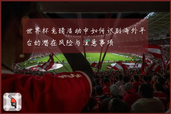 世界杯竞猜活动中如何识别海外平台的潜在风险与注意事项