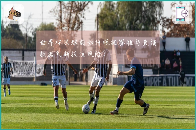 世界杯买球前如何根据赛程与直播数据判断投注风险？