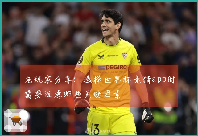 老玩家分享：选择世界杯竞猜app时需要注意哪些关键因素