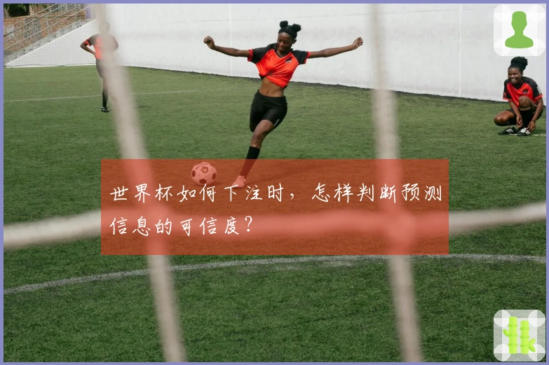 世界杯如何下注时,怎样判断预测信息的可信度?