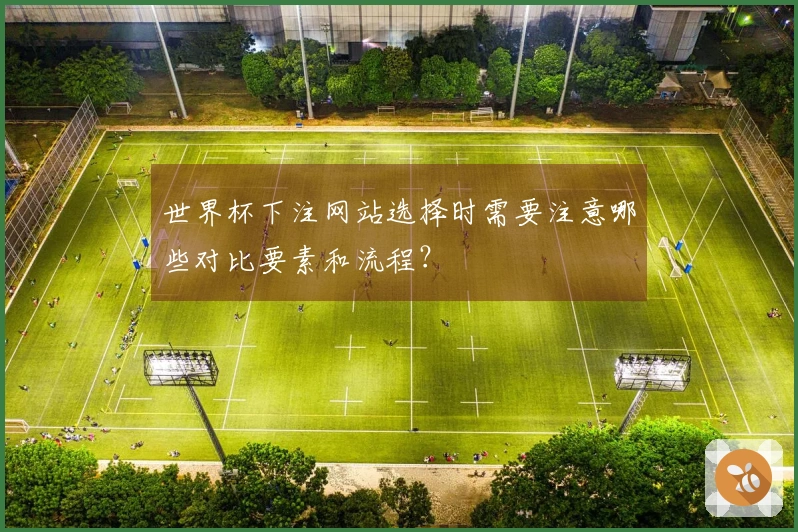 世界杯下注网站选择时需要注意哪些对比要素和流程?