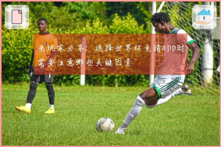老玩家分享:选择世界杯竞猜app时需要注意哪些关键因素