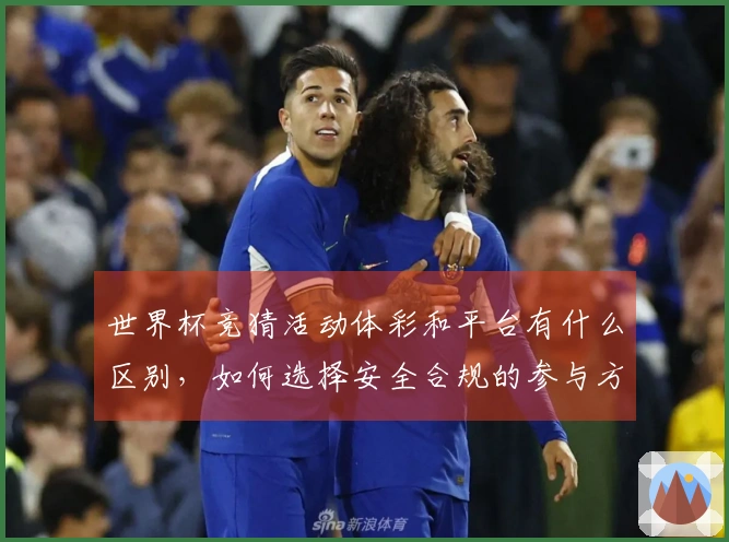 世界杯竞猜活动体彩和平台有什么区别，如何选择安全合规的参与方式