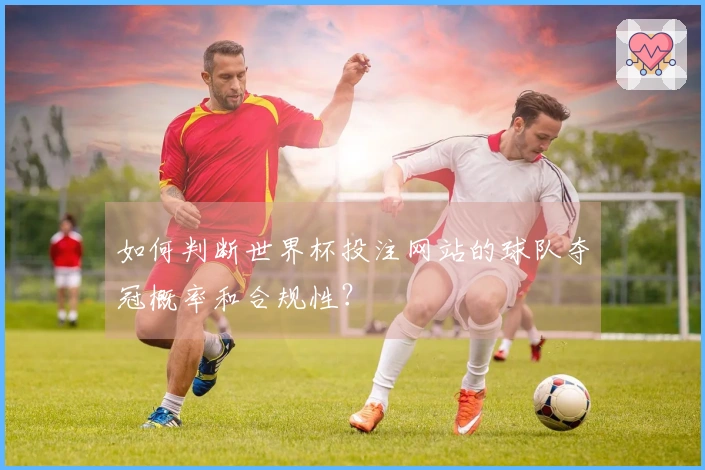 如何判断世界杯投注网站的球队夺冠概率和合规性？