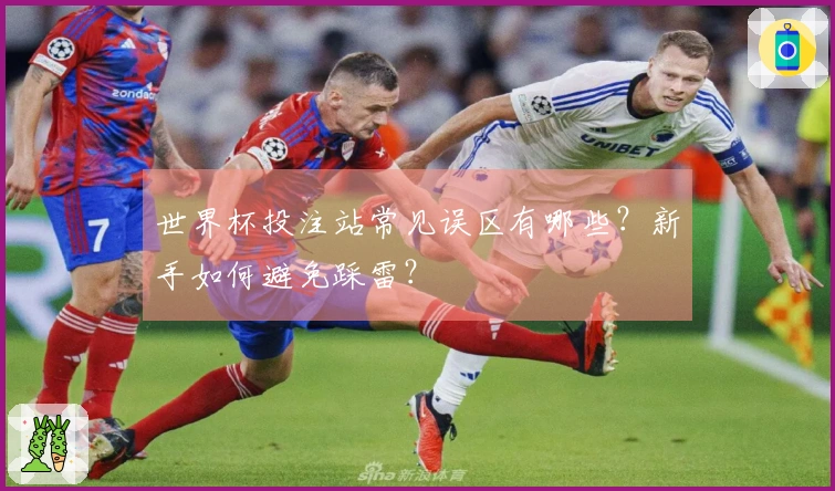 世界杯投注站常见误区有哪些？新手如何避免踩雷？