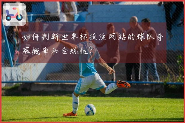如何判断世界杯投注网站的球队夺冠概率和合规性？