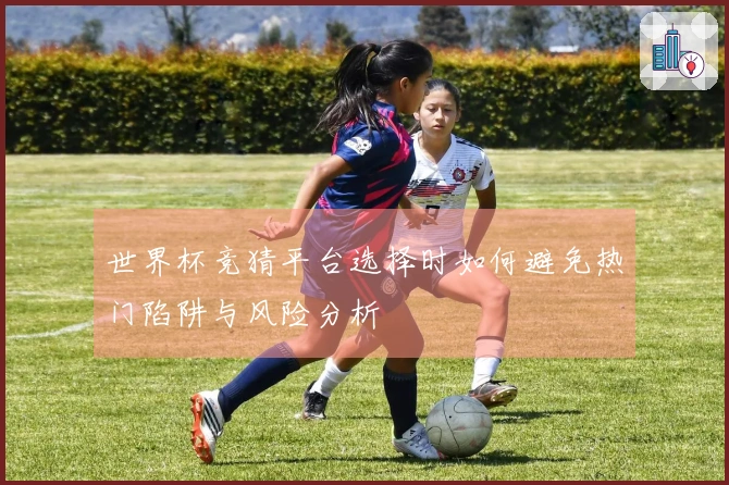 世界杯竞猜平台选择时如何避免热门陷阱与风险分析