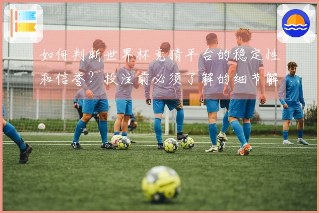 如何判断世界杯竞猜平台的稳定性和信誉？投注前必须了解的细节解析