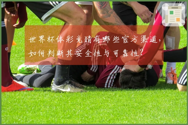 世界杯体彩竞猜有哪些官方渠道，如何判断其安全性与可靠性？