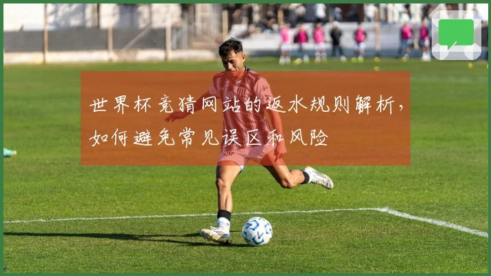 世界杯竞猜网站的返水规则解析，如何避免常见误区和风险