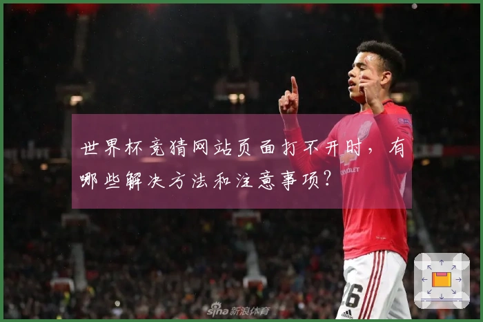世界杯竞猜网站页面打不开时,有哪些解决方法和注意事项?