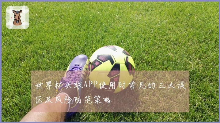 世界杯买球APP使用时常见的三大误区及风险防范策略