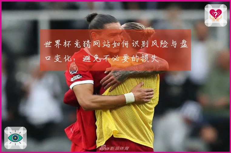 世界杯竞猜网站如何识别风险与盘口变化,避免不必要的损失
