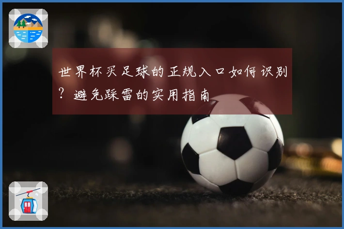 世界杯买足球的正规入口如何识别？避免踩雷的实用指南