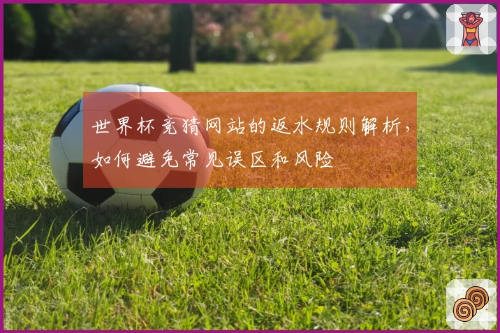 世界杯竞猜网站的返水规则解析，如何避免常见误区和风险