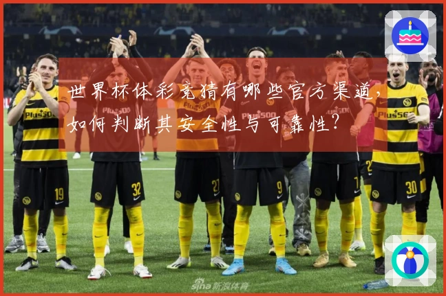 世界杯体彩竞猜有哪些官方渠道，如何判断其安全性与可靠性？