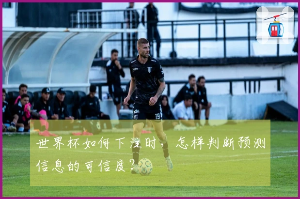 世界杯如何下注时，怎样判断预测信息的可信度？