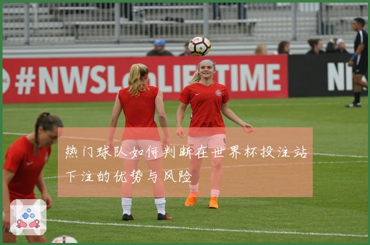 热门球队如何判断在世界杯投注站下注的优势与风险