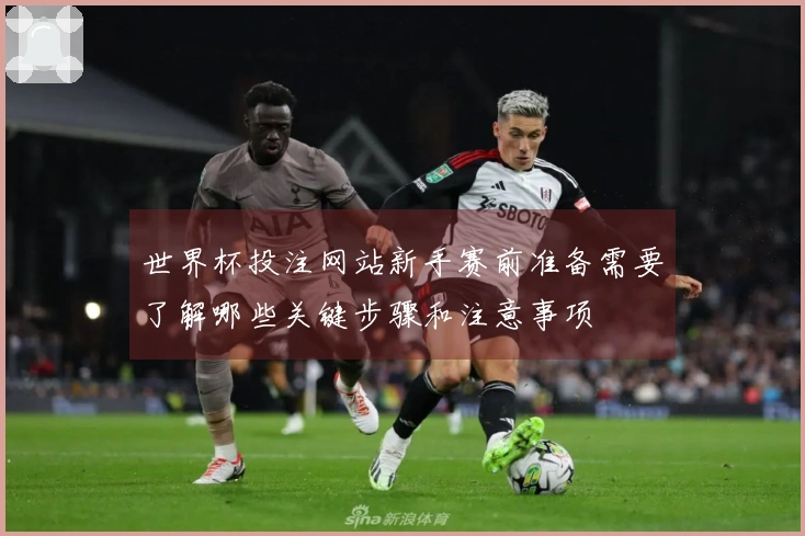 世界杯投注网站新手赛前准备需要了解哪些关键步骤和注意事项
