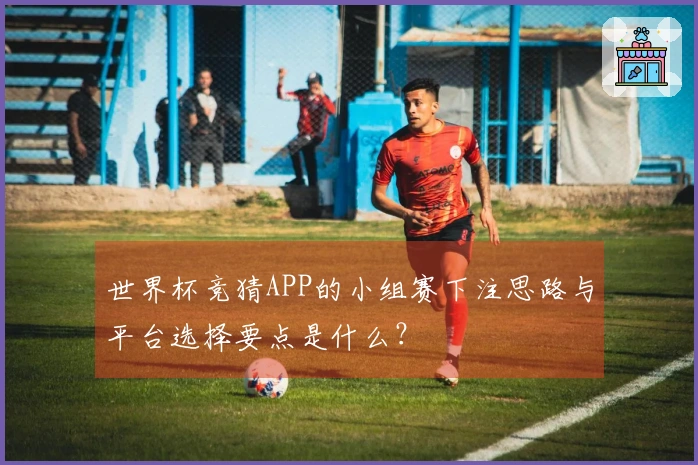 世界杯竞猜APP的小组赛下注思路与平台选择要点是什么？