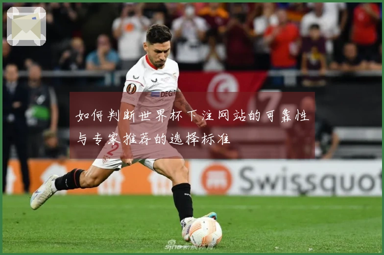 如何判断世界杯下注网站的可靠性与专家推荐的选择标准