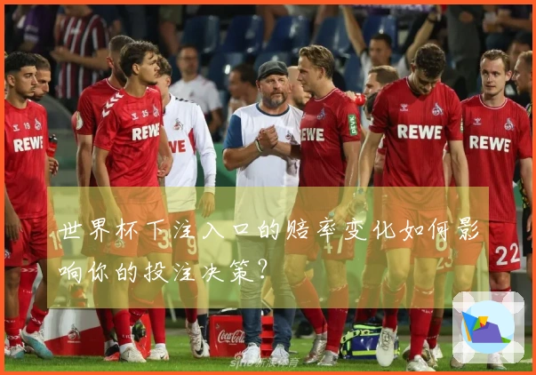 世界杯下注入口的赔率变化如何影响你的投注决策？