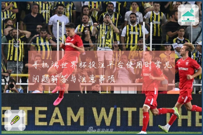 手机端世界杯投注平台使用时常见问题解答与注意事项