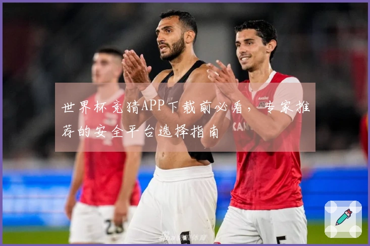 世界杯竞猜APP下载前必看，专家推荐的安全平台选择指南